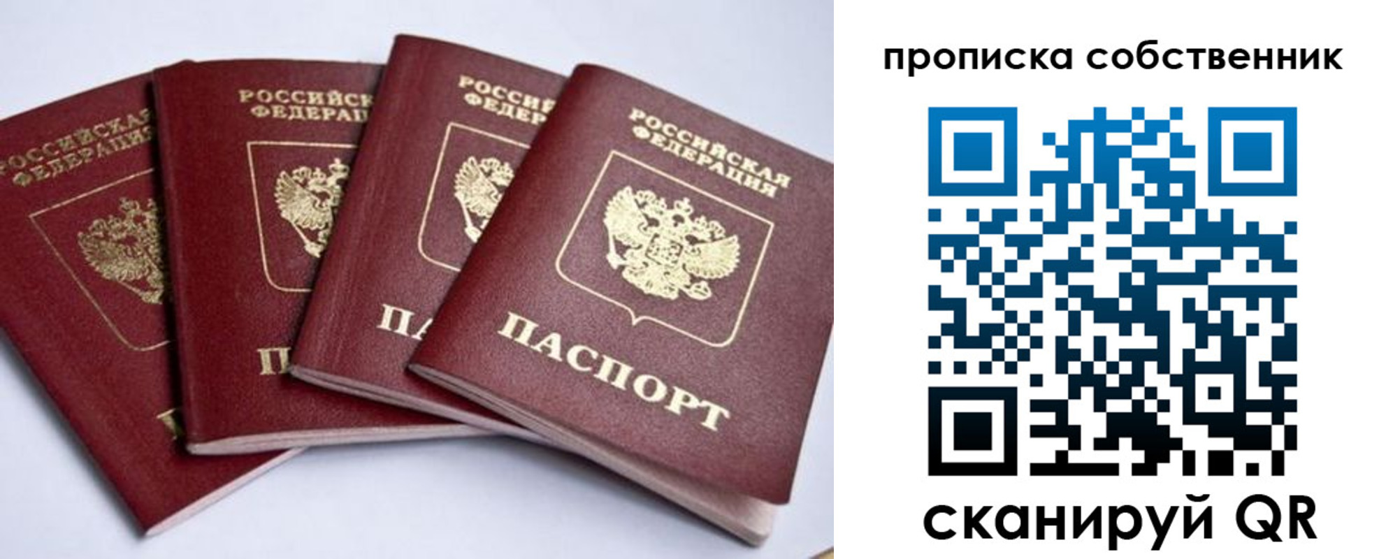 прописка для школы в Псковской области